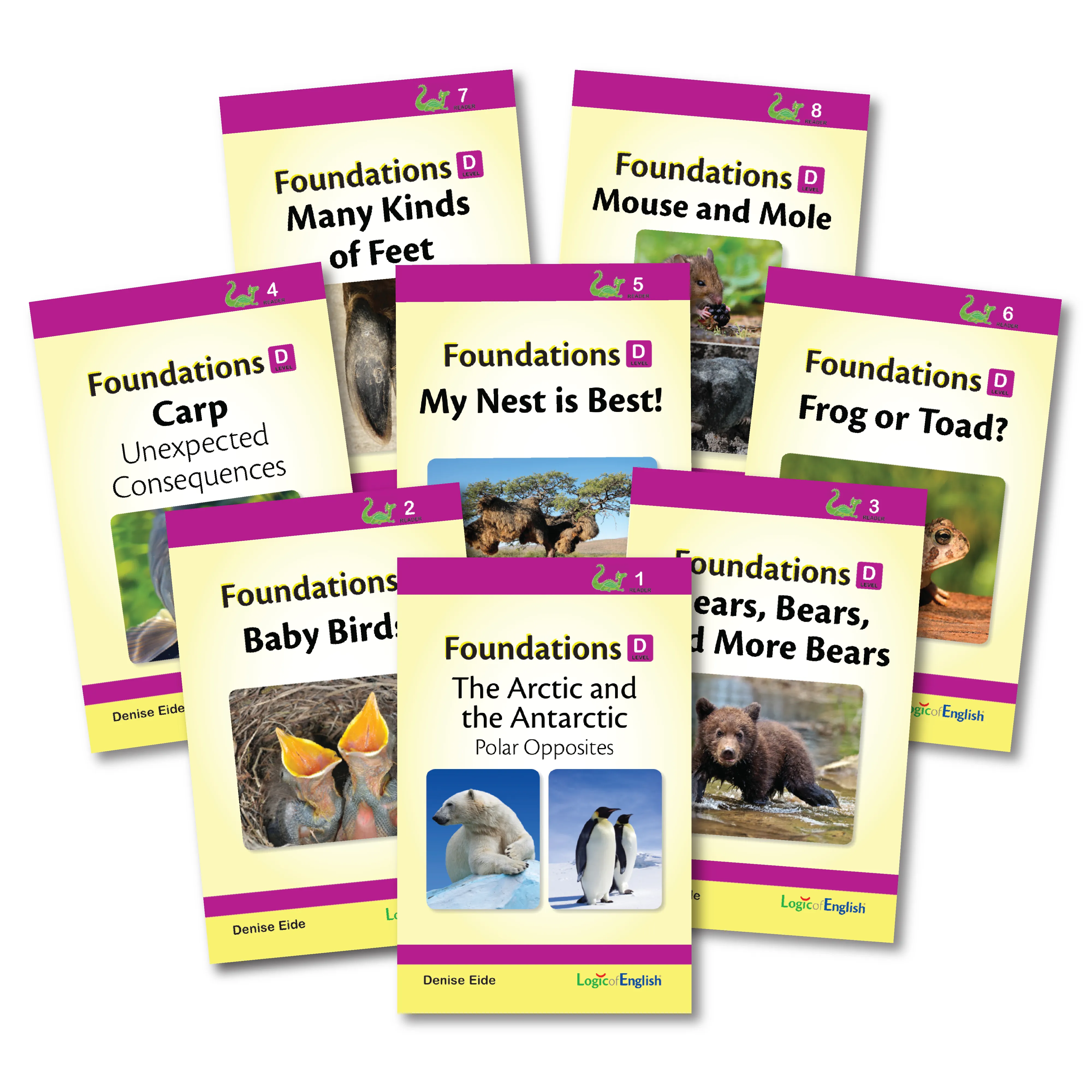 Professional Development Foundations Set